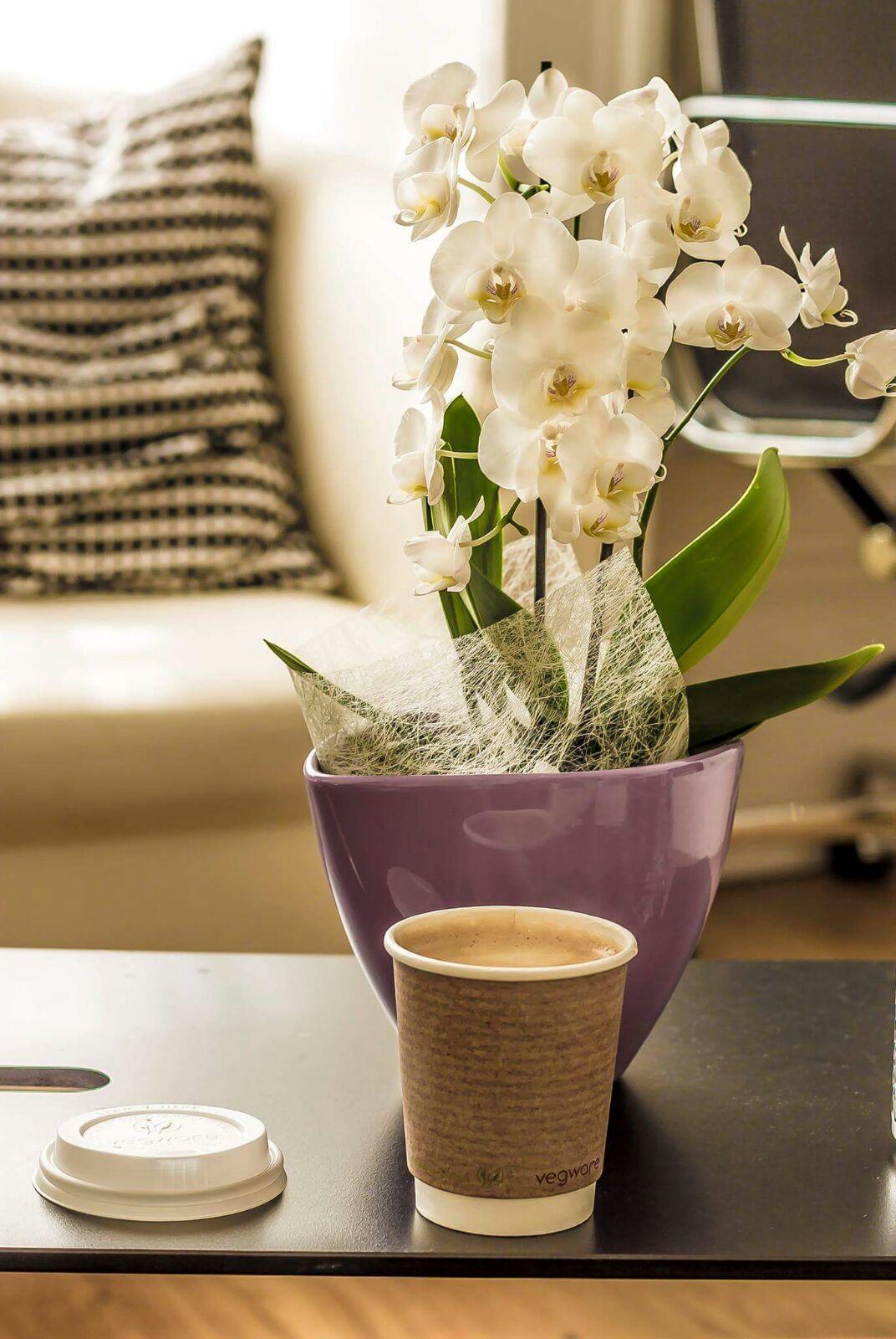 B&B Belgravia Лондон Экстерьер фото